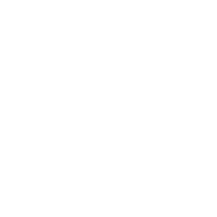 Specialist Finance Group (SFG)